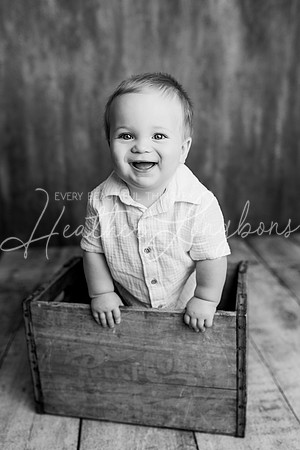 Bennett Webb One Year BW-7