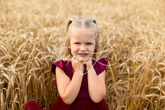 Wheat Field Bonds-20