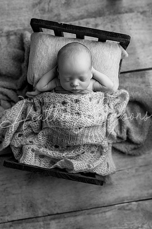 Josiah Newborn-15BW