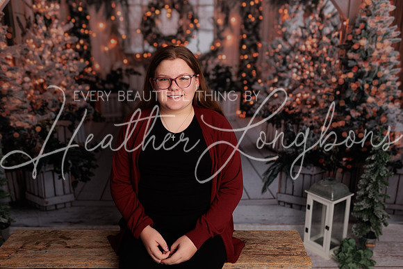 Christmas Abby-7