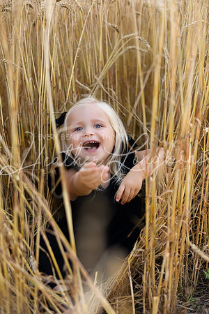 Wheat field Speirs-41
