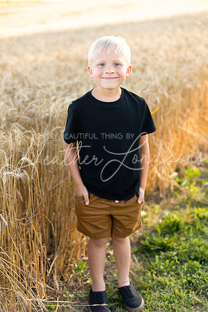 Wheat field Speirs-34