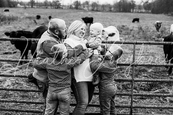 Bell Extended family-19BW