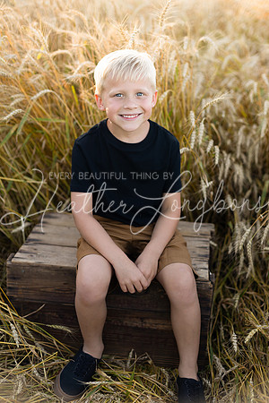 Wheat field Speirs-17