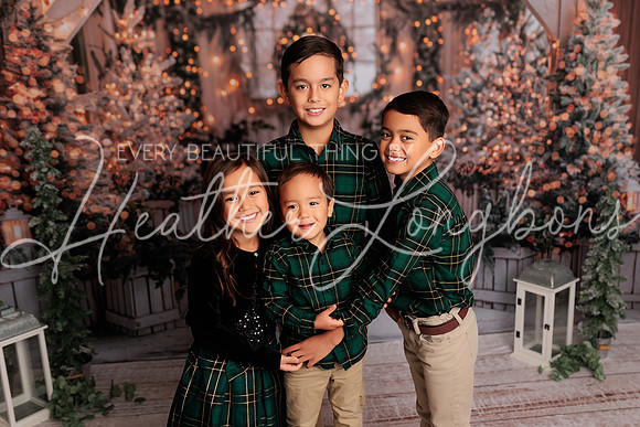 2024 Christmas McDaniel-27