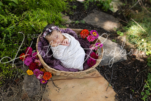 Emery Newborn-104