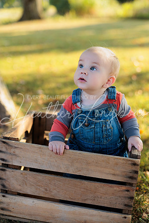 Forrest 9 months-8