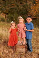 St Ledger family-8