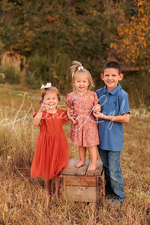 St Ledger family-8