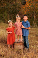 St Ledger family-7