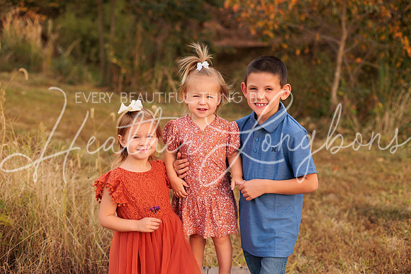 St Ledger family-11