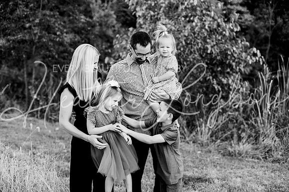 St Ledger family-4BW