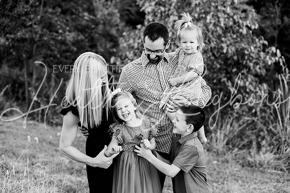 St Ledger family-3BW