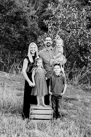 St Ledger family-1BW