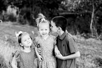 St Ledger family-9BW