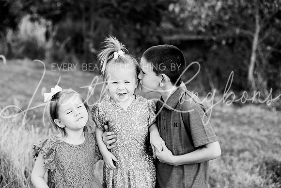 St Ledger family-9BW