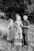 St Ledger family-8BW