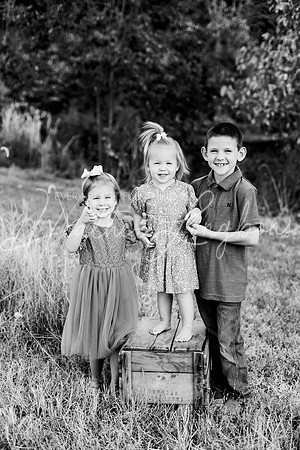 St Ledger family-8BW
