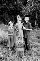 St Ledger family-7BW