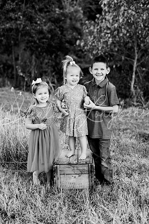 St Ledger family-7BW