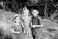 St Ledger family-10BW