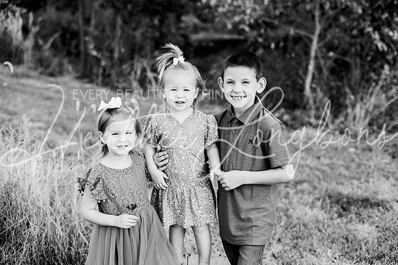 St Ledger family-10BW