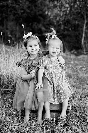 St Ledger family-12BW