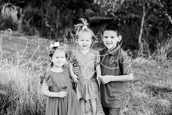 St Ledger family-11BW