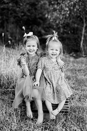 St Ledger family-13BW