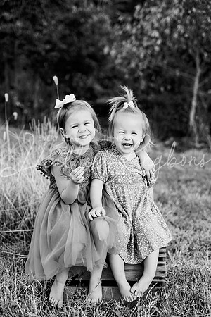 St Ledger family-14BW