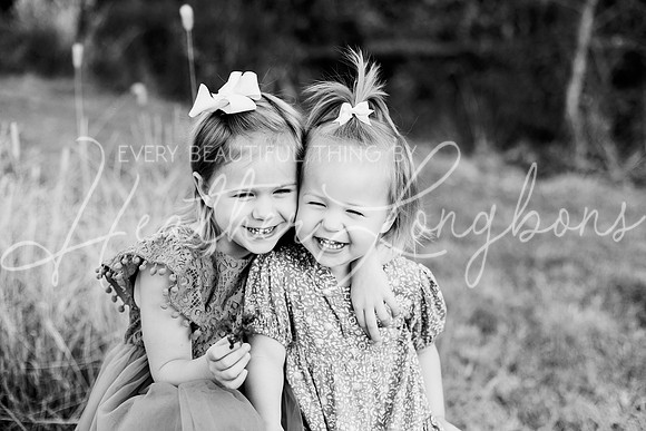 St Ledger family-16BW