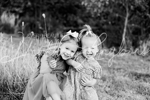 St Ledger family-18BW