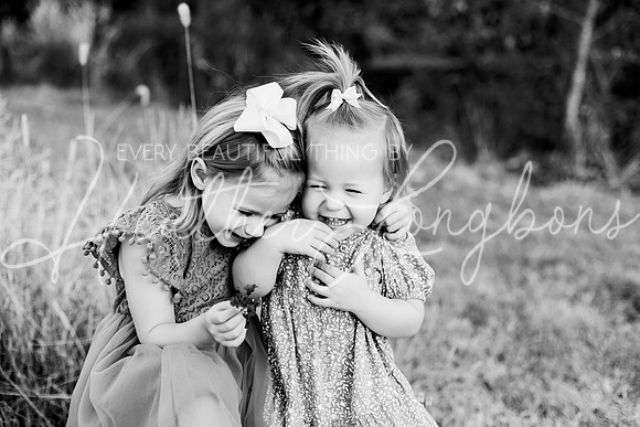 St Ledger family-17BW