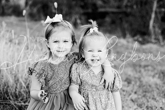 St Ledger family-19BW