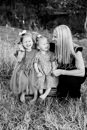 St Ledger family-21BW
