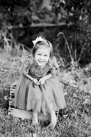 St Ledger family-51BW
