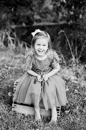 St Ledger family-52BW