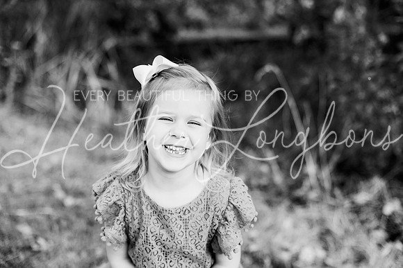 St Ledger family-55BW