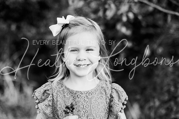 St Ledger family-58BW