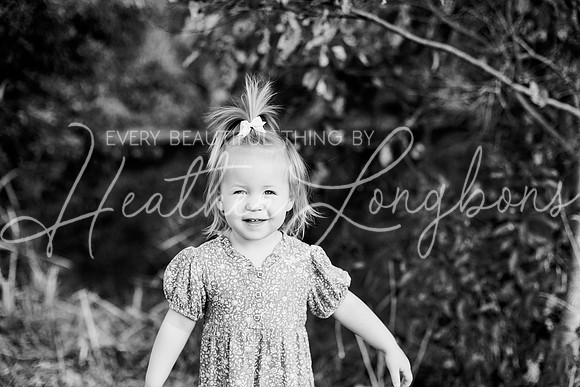 St Ledger family-61BW