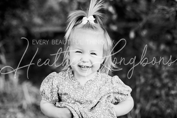 St Ledger family-62BW