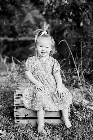 St Ledger family-66BW