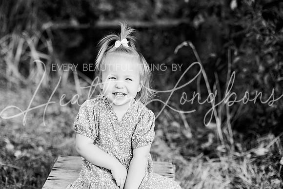 St Ledger family-71BW
