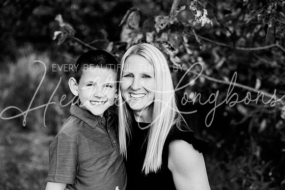 St Ledger family-93BW