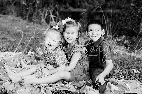 St Ledger family-121BW