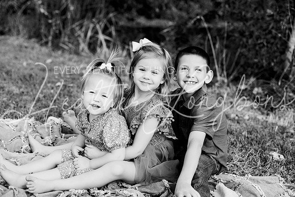 St Ledger family-122BW