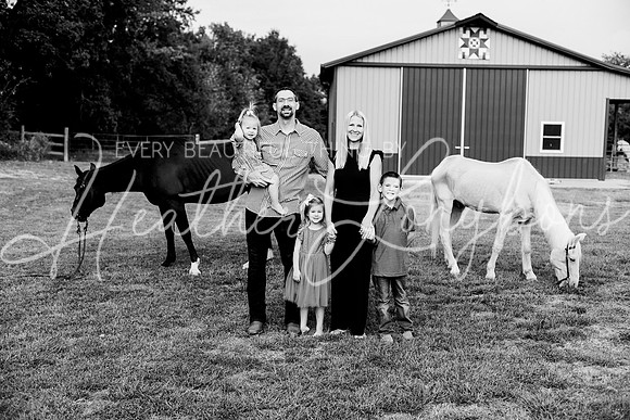 St Ledger family-141BW