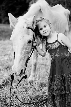 St Ledger family-165BW