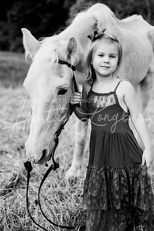 St Ledger family-166BW
