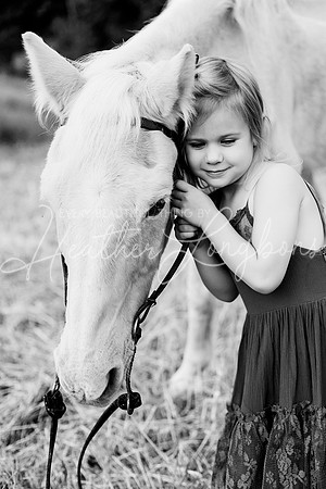 St Ledger family-167BW